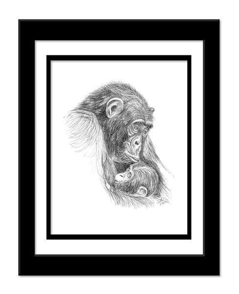 Ape - "A Mother's Love"