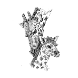 Giraffe - "First Trim"