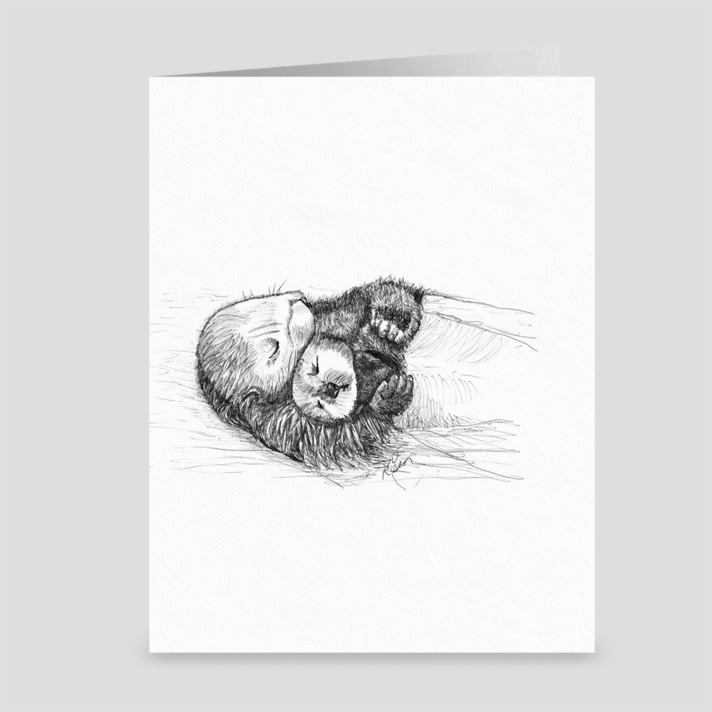 Otter "Snooze Cruise" - Greeting Card