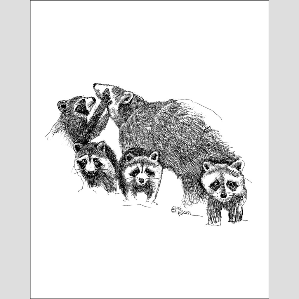 Raccoon "Hand Full" - Giclee Print