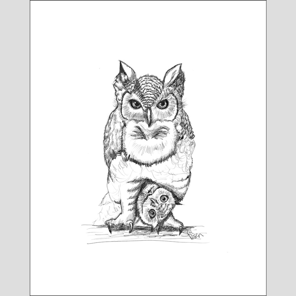 Owl "Who Dat?" - Giclee Print
