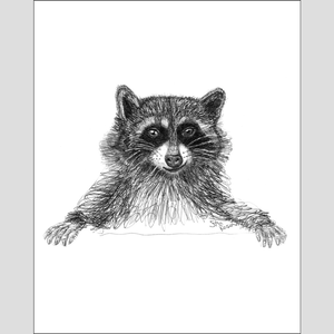 Raccoon "Scheming" - Giclee Print