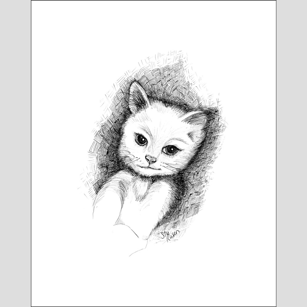 Cat "No Plans" - Giclee Print