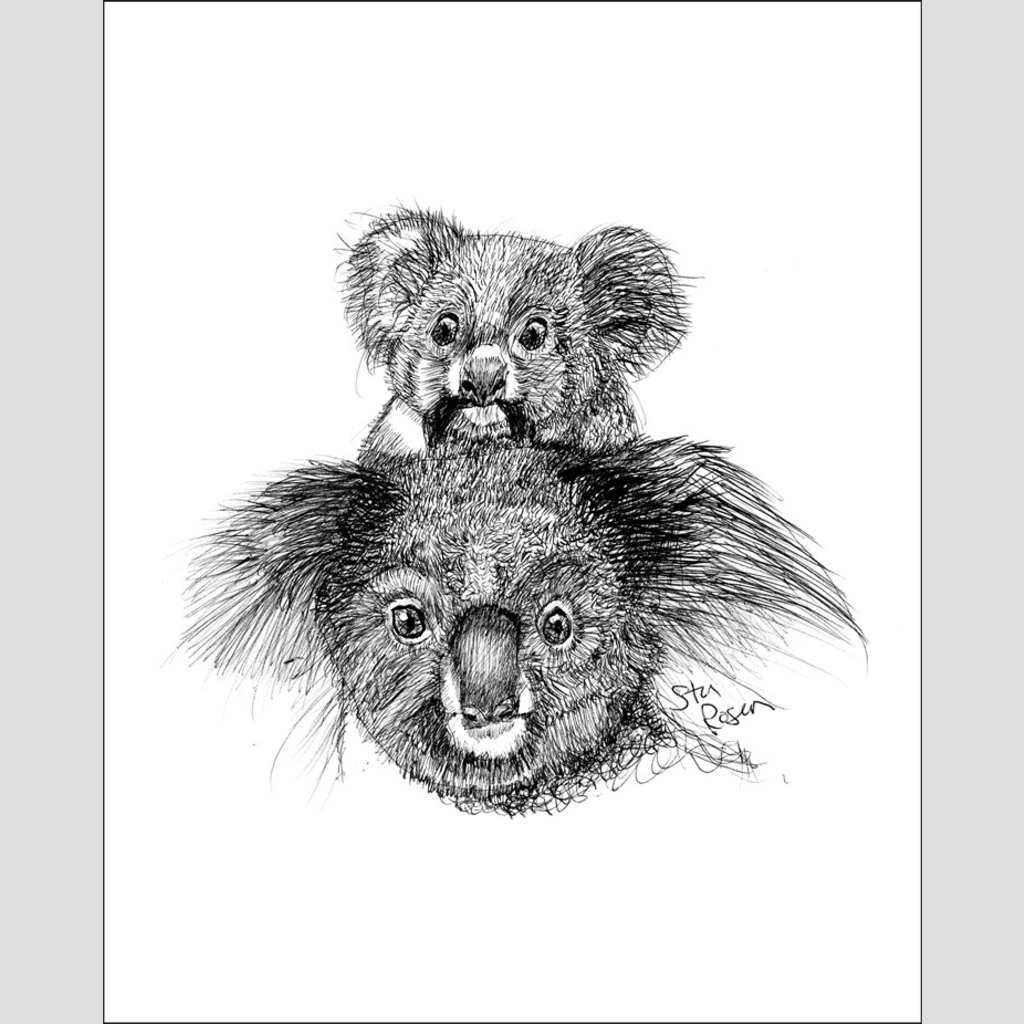 Koala "Snack Time" - Giclee Print