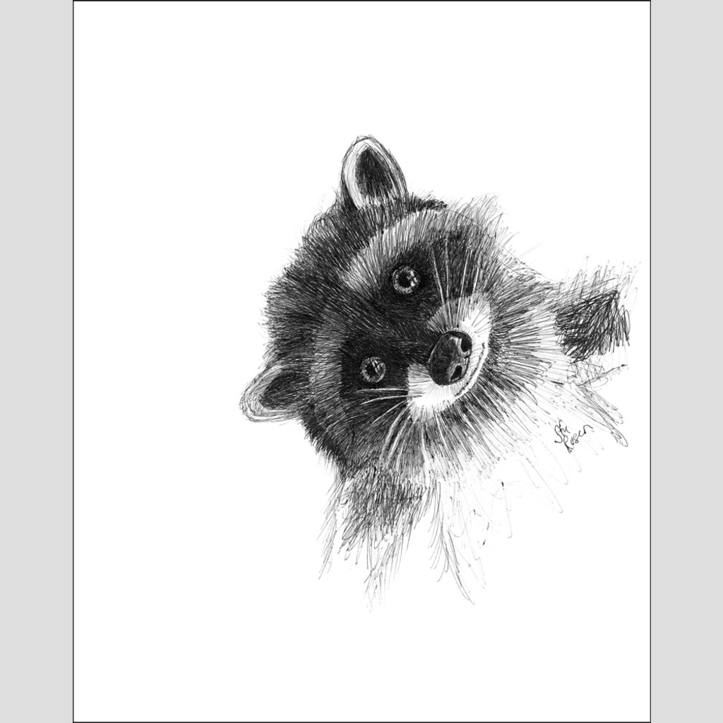 Raccoon "Hi There!" - Giclee Print