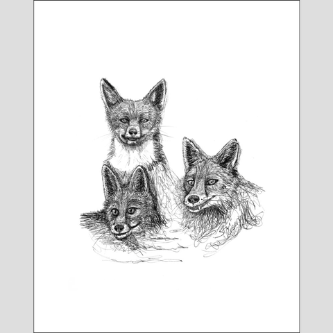 Fox "Amigos" - Giclee Print