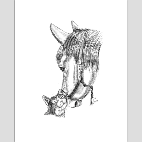 Horse & Cat "Nudge" - Giclee Prints