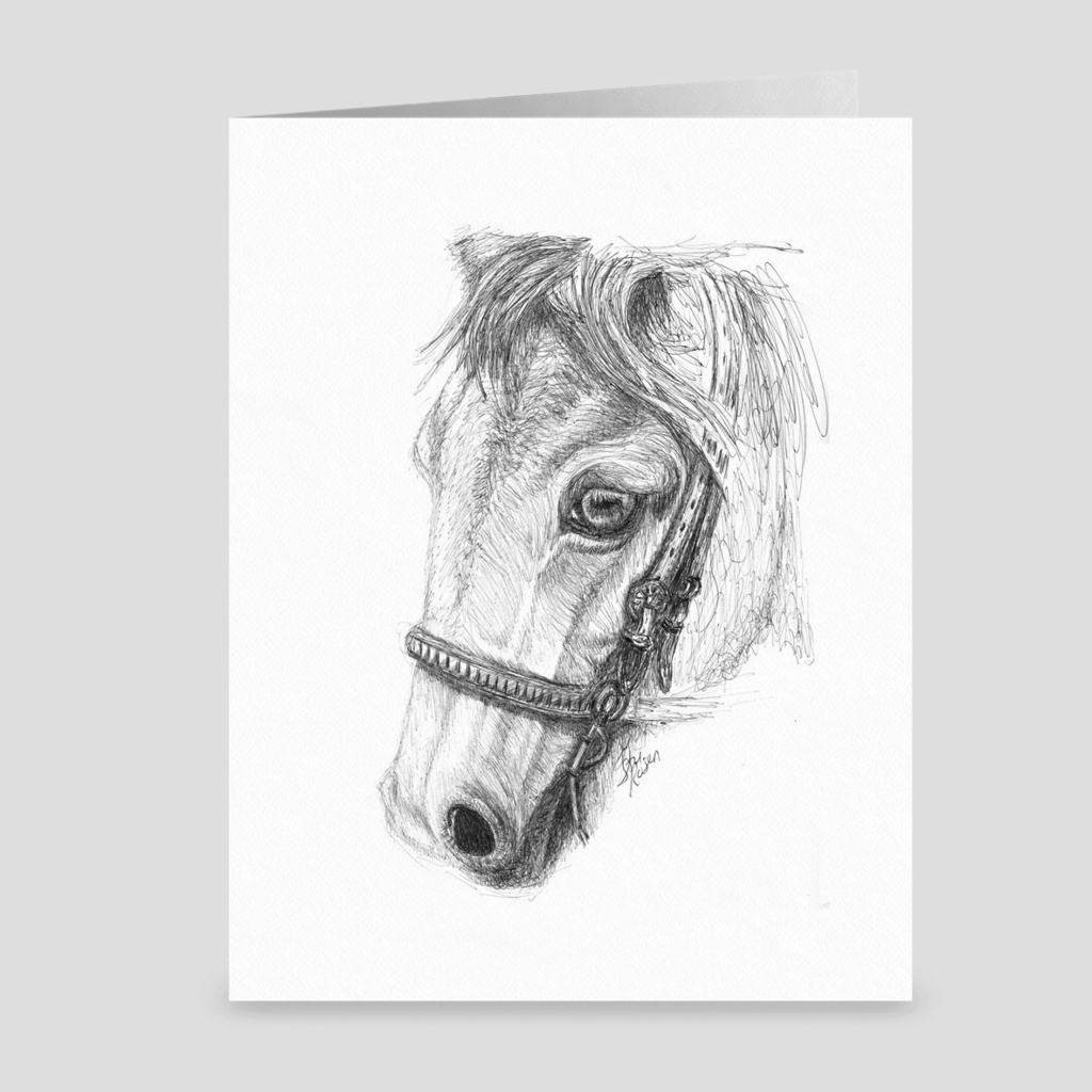 Horse "Gaze" - Greeting Card