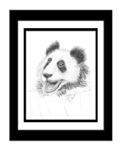Panda - "Anticipation"