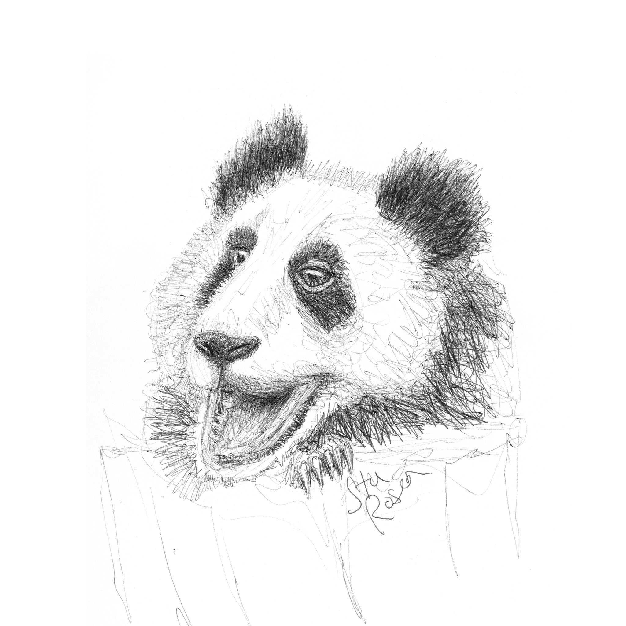Panda - "Anticipation"