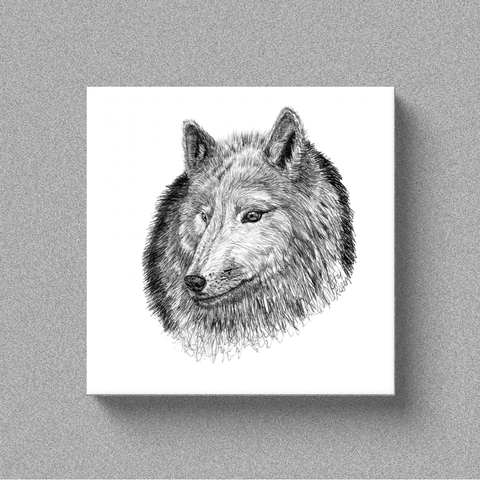 Wolf "Aware" - Canvas