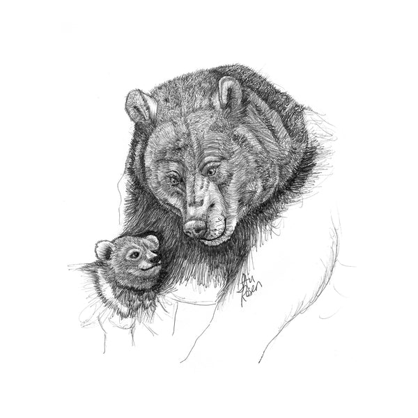 Bear - "You and Me Kid"