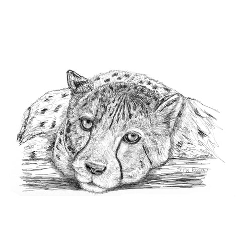 Cheetah - "Order In"