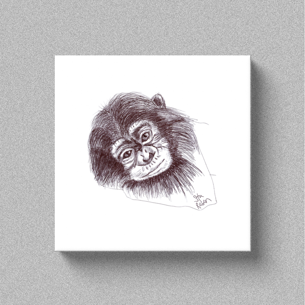 Chimp "Gonna Stay" - Canvas