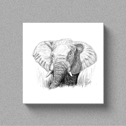 Elephant "Your Majesty" - Canvas