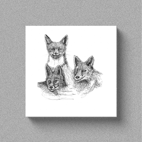 Fox "Amigos" - Canvas