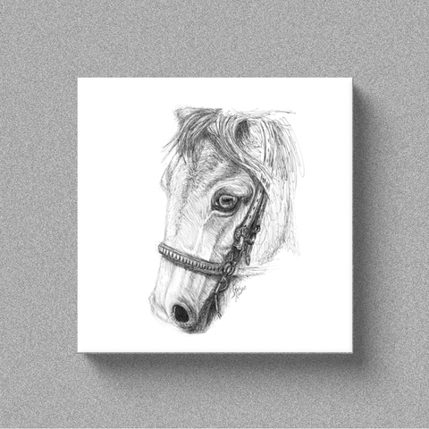 Horse "Gaze" - Canvas