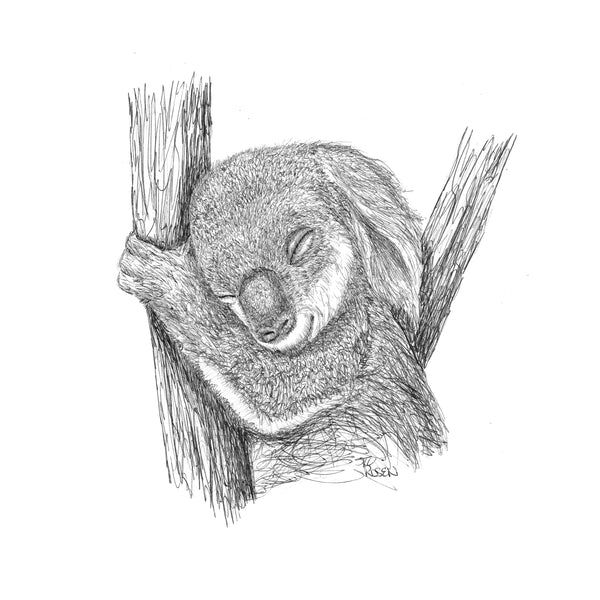 Koala - "Better World"