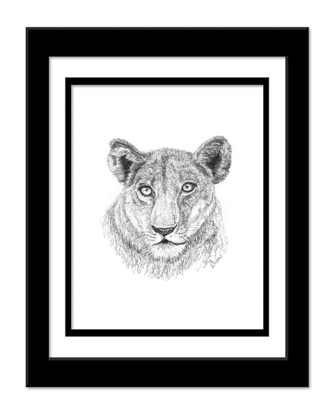 Lion - "Contemplate"