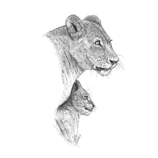Lion - "Safe"