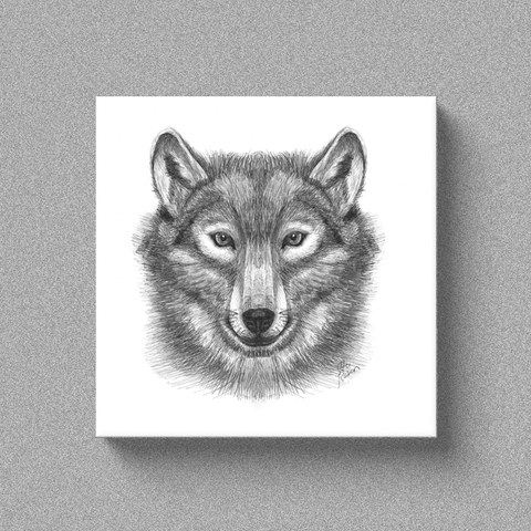 Wolf "Lone Wolf" - Canvas