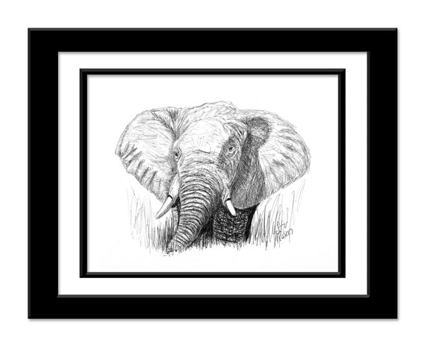 Elephant - "Your Majesty"