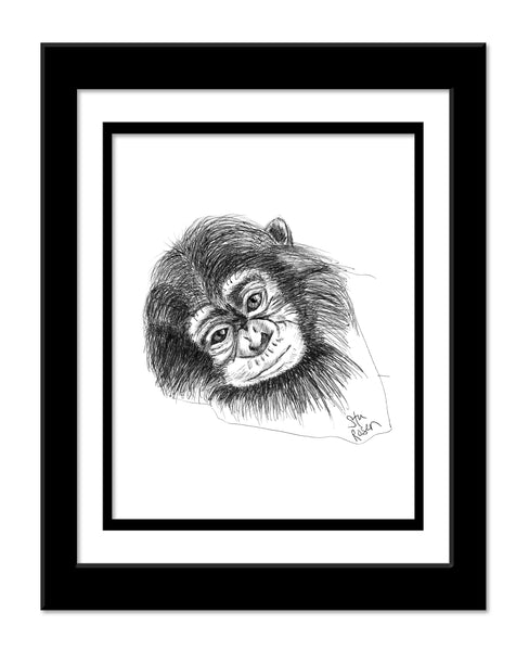 Monkey - "Gonna Stay"