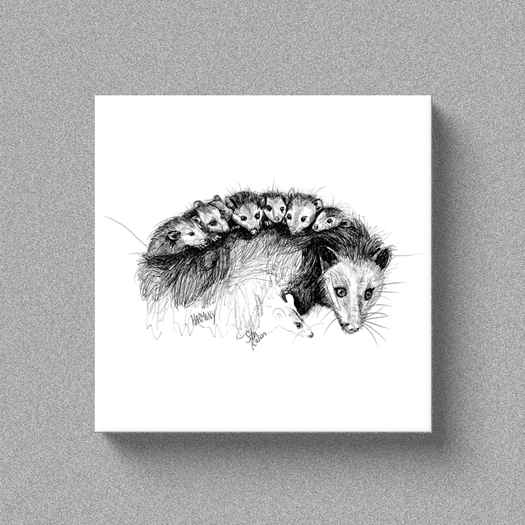 Opossum "Harmony" - Canvas