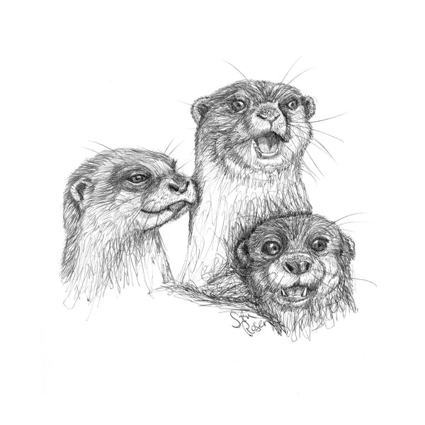 Otter - "Gossip"