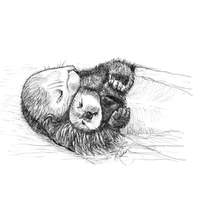 Otter - "Snooze Cruise"