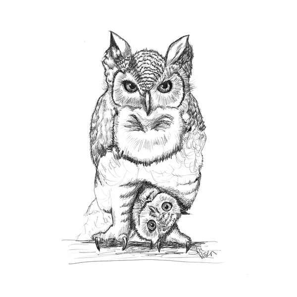 Owl - "Who Dat?"