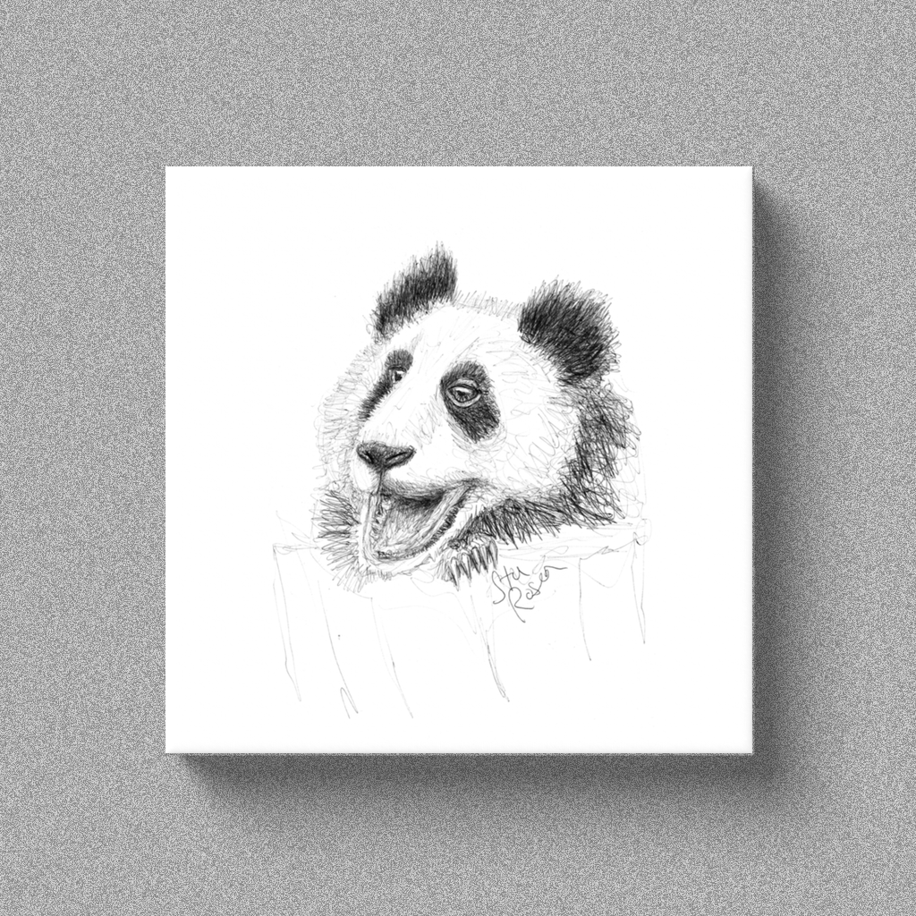 Panda "Anticipation" - Canvas