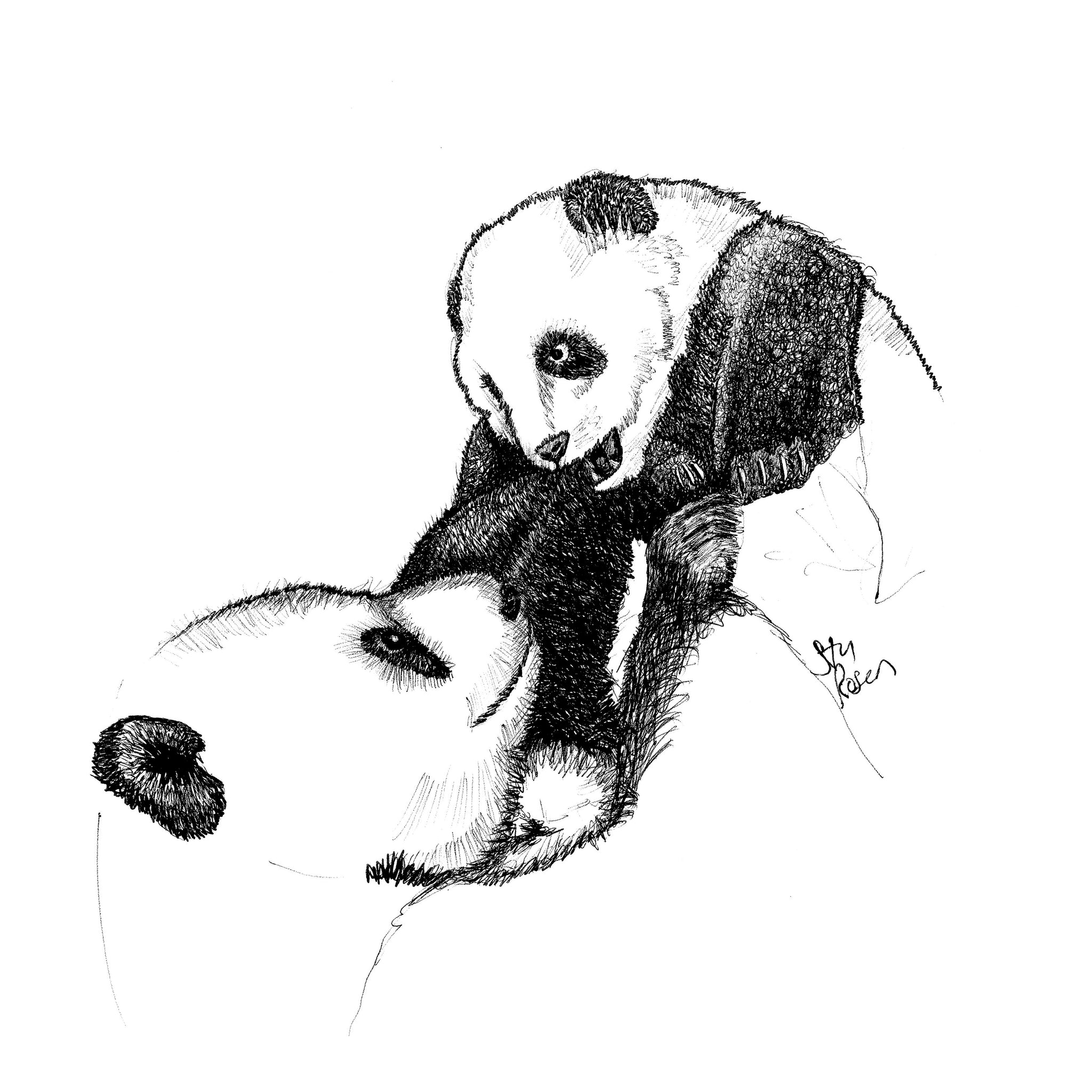 Panda - "Joy"