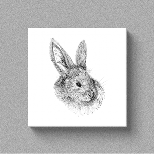 Rabbit "Hunny Buns" - Canvas