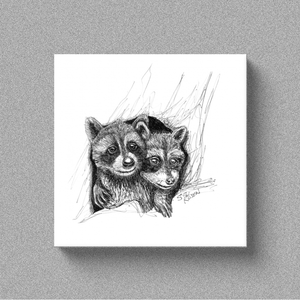 Raccoon "Bros" - Canvas