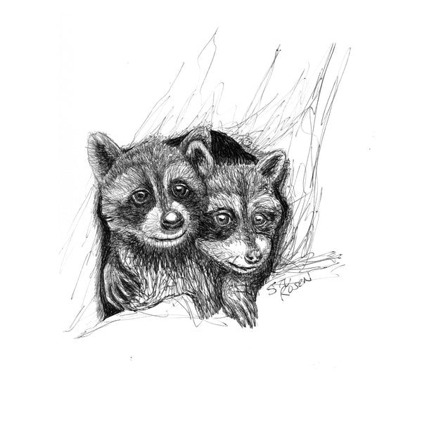 Raccoon - "Bros"