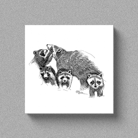 Raccoon "Hand Full" - Canvas