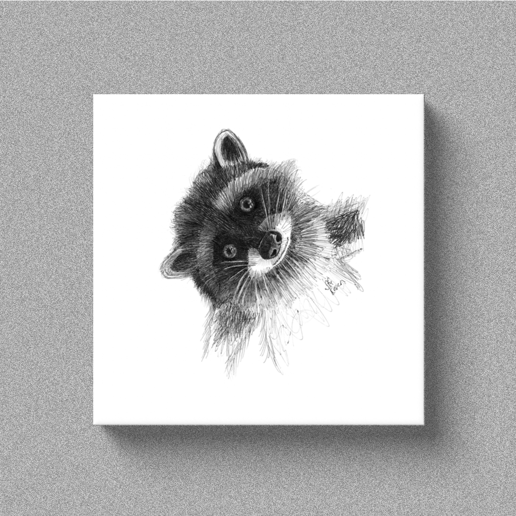 Raccoon "Hi There!" - Canvas