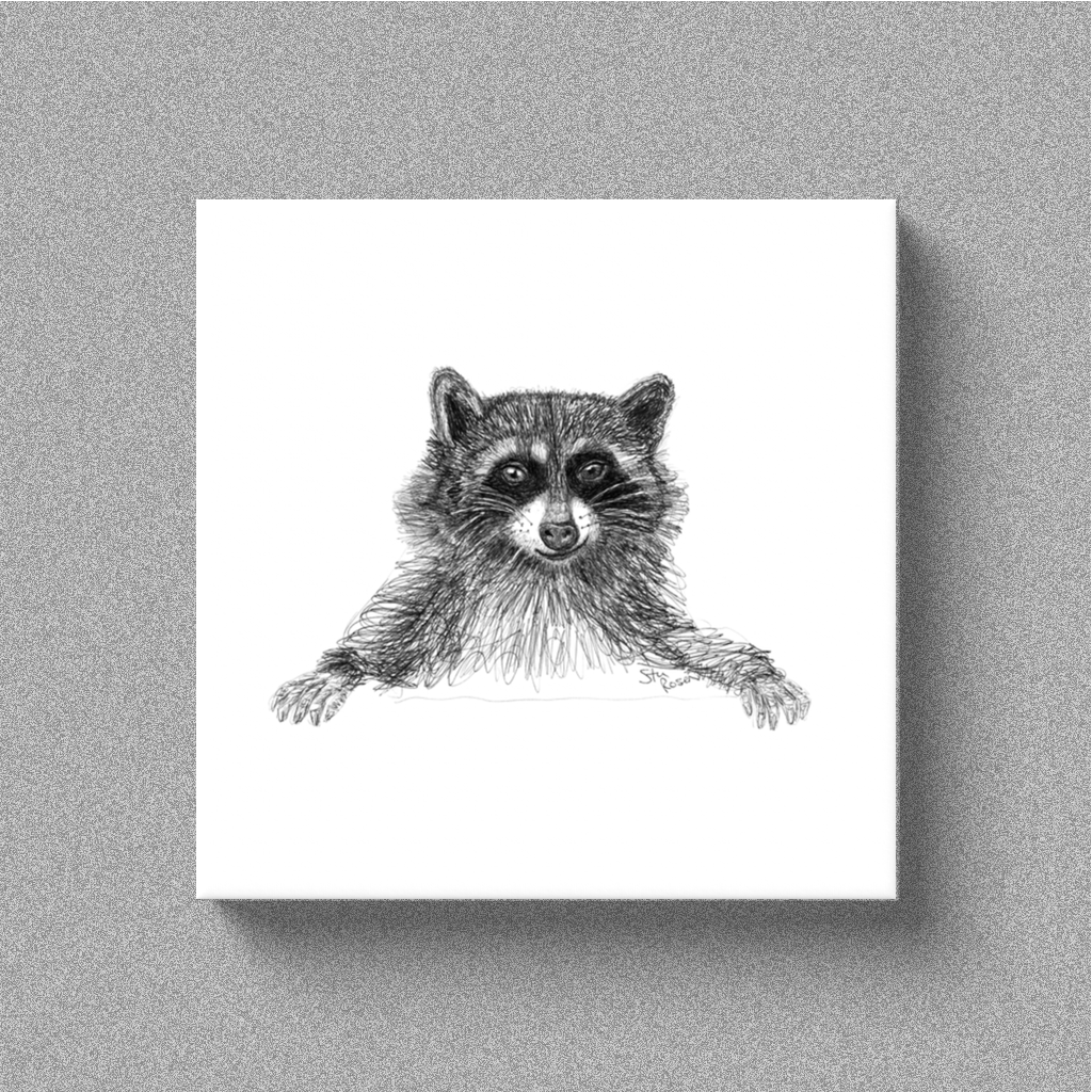 Raccoon "Scheme" - Canvas
