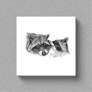 Raccoon "Secret" - Canvas