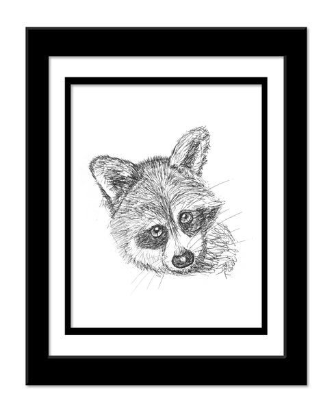 Raccoon - "You Gonna Eat That?"