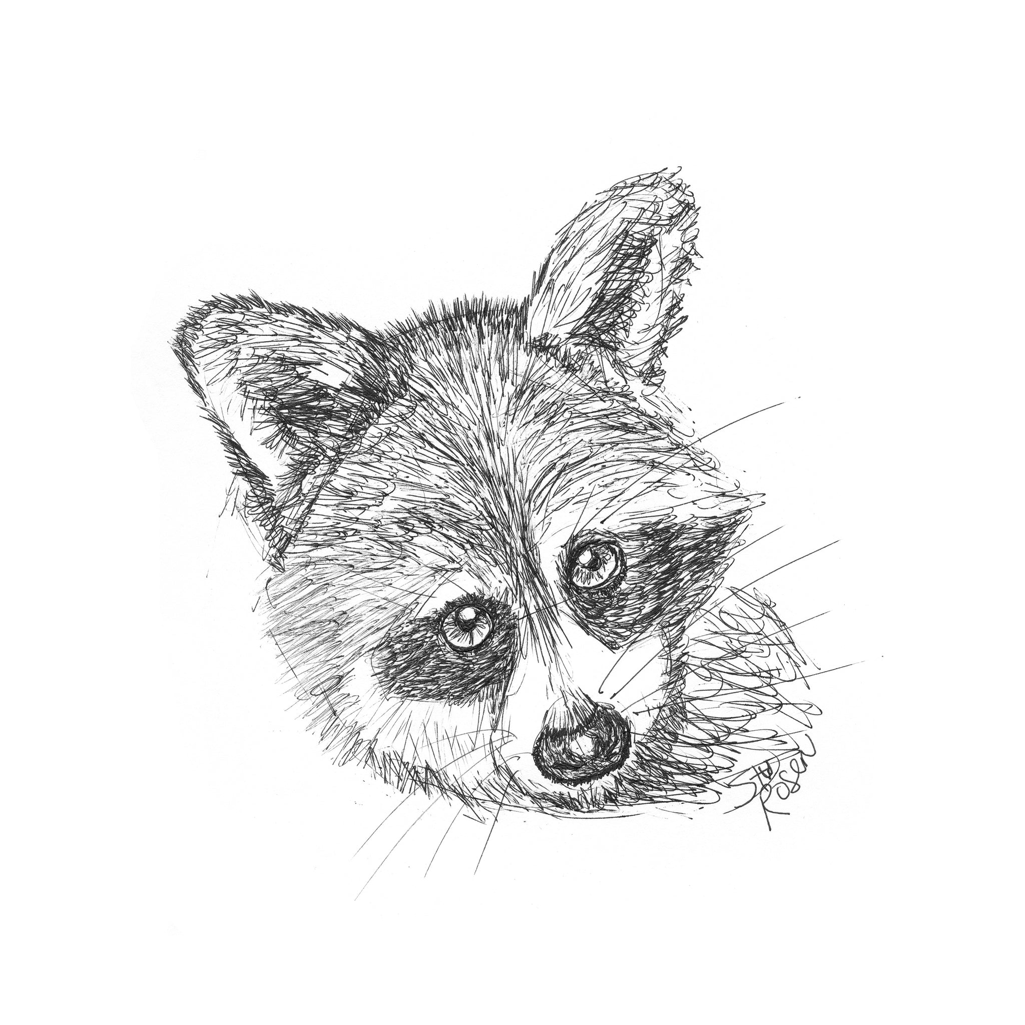 Raccoon - "You Gonna Eat That?"