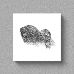 Sloth "Afternoon Nap" - Canvas