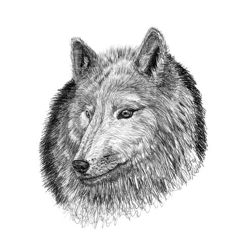 Wolf - "Aware"