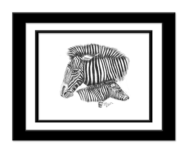 Zebra - "Pattern"